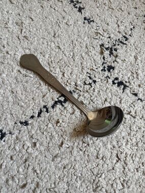 Stainless Steel Silver Decorative Ladle - NEW NEVER USED